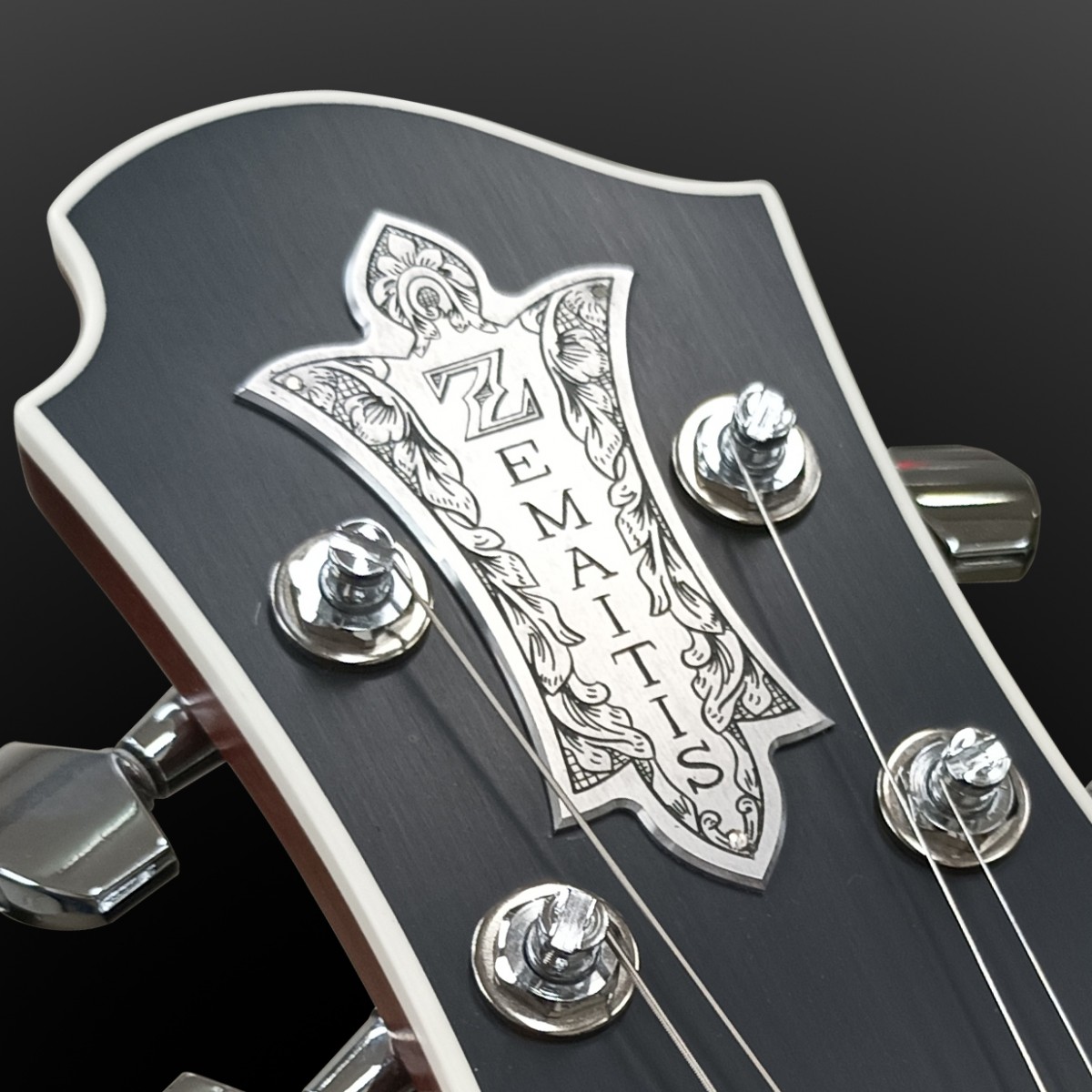 HISASHI/GLAY (GUITAR MAGAZINE SPECIAL ARTIST SERIES