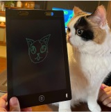 �u�����̓X�L�����_�����Ȃ��v���܂�CM�N�p�̃y�b�g�^�����g�A�����͕ی�L&�����_�̎��v�� 