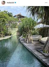 �o���ł̗l�q�𓊍e�������[�K��䝈����@�i�ʐ^�̓C���X�^�O�������j 