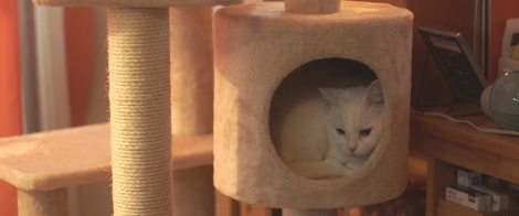 �����L�̃`�[�iC�j2023 ��삢�ɂ��E���w�ف^�u�뗎�v����ψ��� 