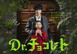 4月期日本テレビ系・新土曜ドラマ『Dr.チョコレート』に出演する（下から）白山乃愛、坂口健太郎 （C）日本テレビ 