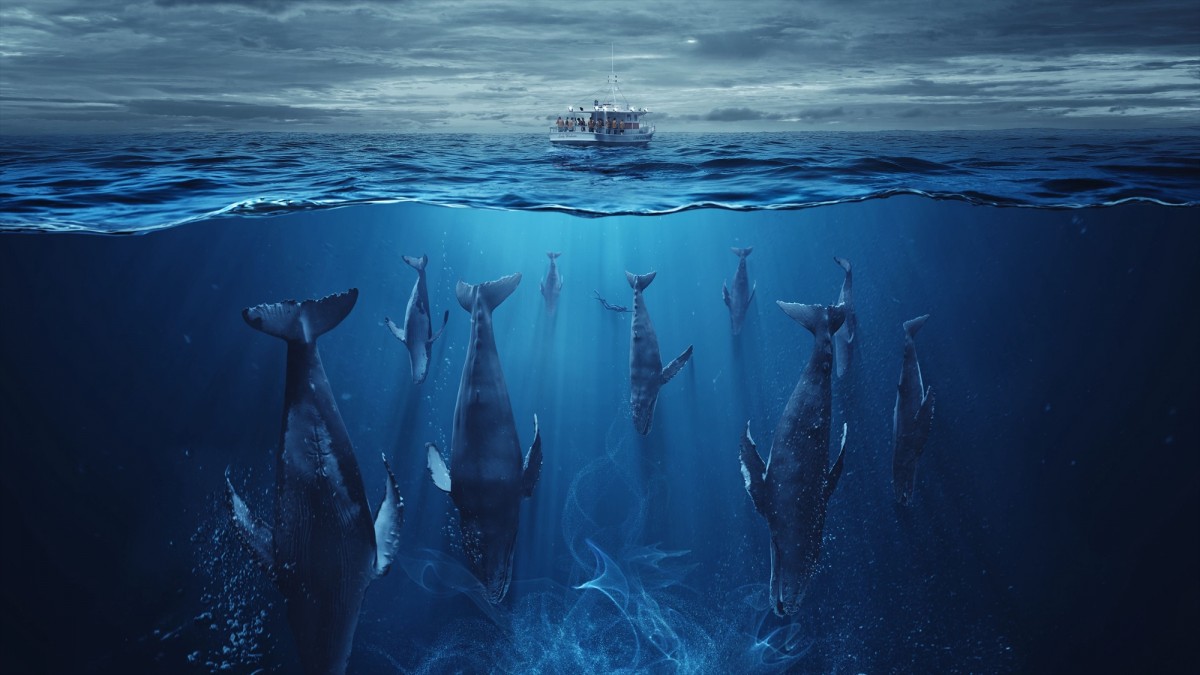 THE SWARM スウォームDVD 日本語字幕版　激レア スウォーム(THE SWARM) DVD - メルカリ