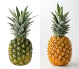 �Ăсg�����u���h�ɉ�A? �u�������������ł̓_���v�Ē�`�����p�C�i�b�v���̉��l 