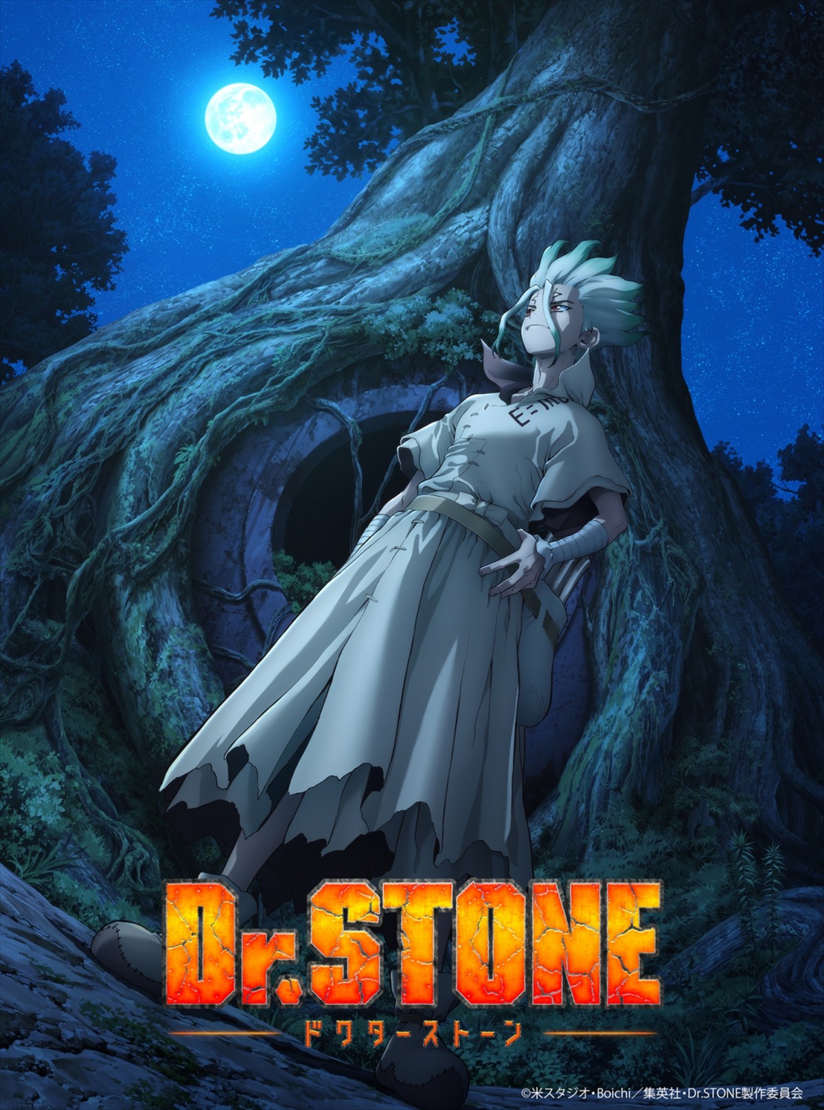 Prime Video: Dr. STONE