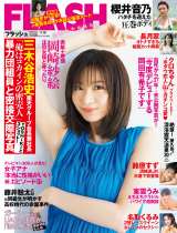 �w�T��FLASH�x4��4���������\�������鉪��ъG(C)������/�T��FLASH �ʐ^���F�� �D(io) 