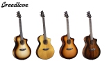Breedlove�A�u�����h���ƂȂ钆�����i�т̃I�[���P���f�����\ 