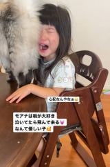 �����Ȃ���?�C���C�����^�������3�Ζ��ɋ삯���ی�L�̎p��240���Đ��u�D�����j�����R�v�u�����Ă���v 