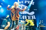 wSUPER BEAVER s̃N_ `ƂSP`Vh܂́AN_`x Photo by ؃JY[ 