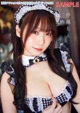 �ɐD�����A���C�h�p�ł���d �u����A�N�V�����v�O���r�A�o�� 