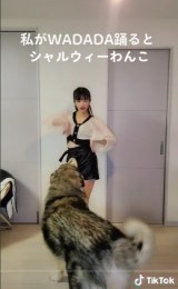 �����傳��̗x��ɔ������āu�V���� �E�B ���?�v���Ă��܂���^���A���炵���M���b�v�ɖ��� 