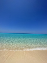 ���w��ŊC�������y���ށg�䂫�ۂ�h���Ɩؑ��L��@�i�ʐ^�̓c�C�b�^�[���j 