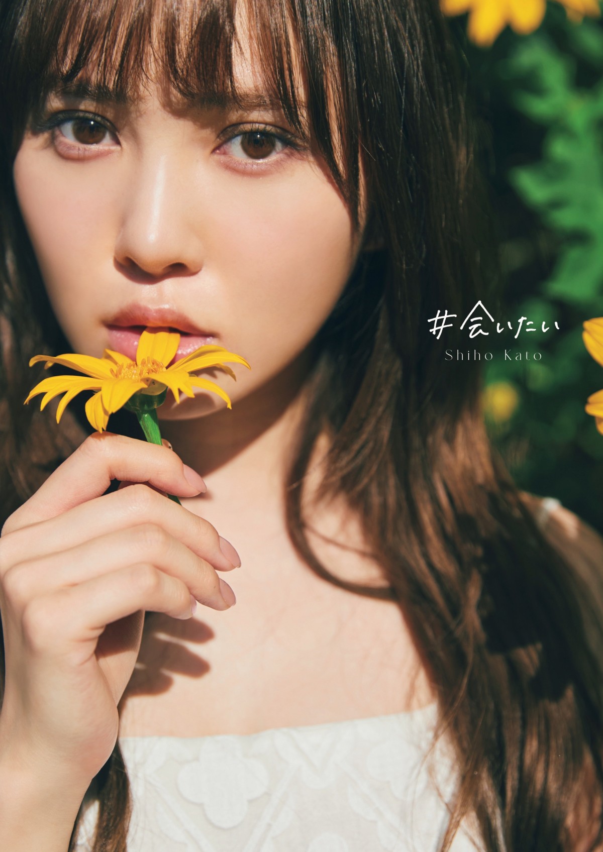画像・写真 | 日向坂46加藤史帆「1st写真集」特典ポストカード17