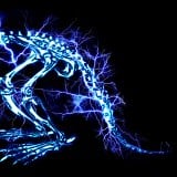 SUPER BEAVER�u�R���Ȃ��v�W���P�b�g 