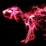 SUPER BEAVER�u�O���f�[�V�����v�W���P�b�g 