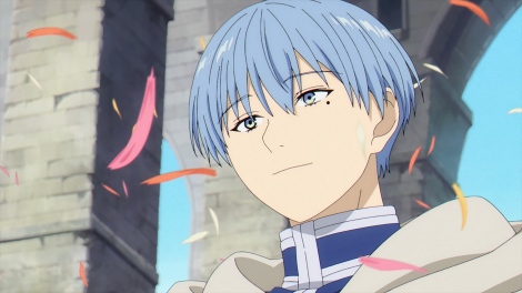 �e���r�A�j���w�����̃t���[�����x�̏�ʃJ�b�g �iC�j�R�c���l�E�A�x�c�J�T�^���w�ف^�u�����̃t���[�����v����ψ��� 