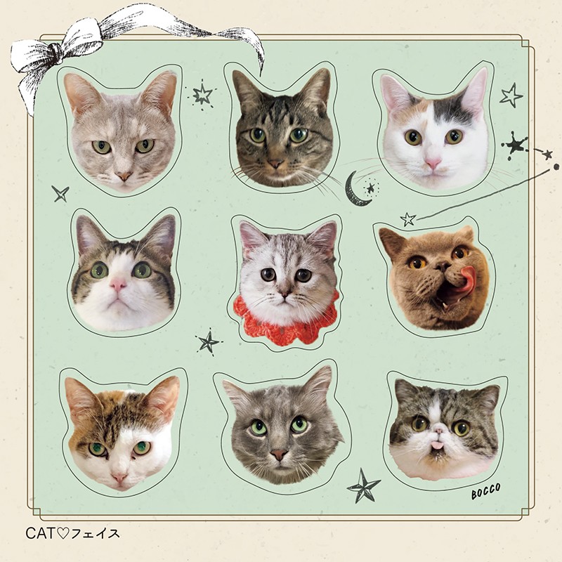🐈‍⬛10/19 流山ねこ親会のお知らせ🐈‍⬛ 千葉県流山市のSTUDIO