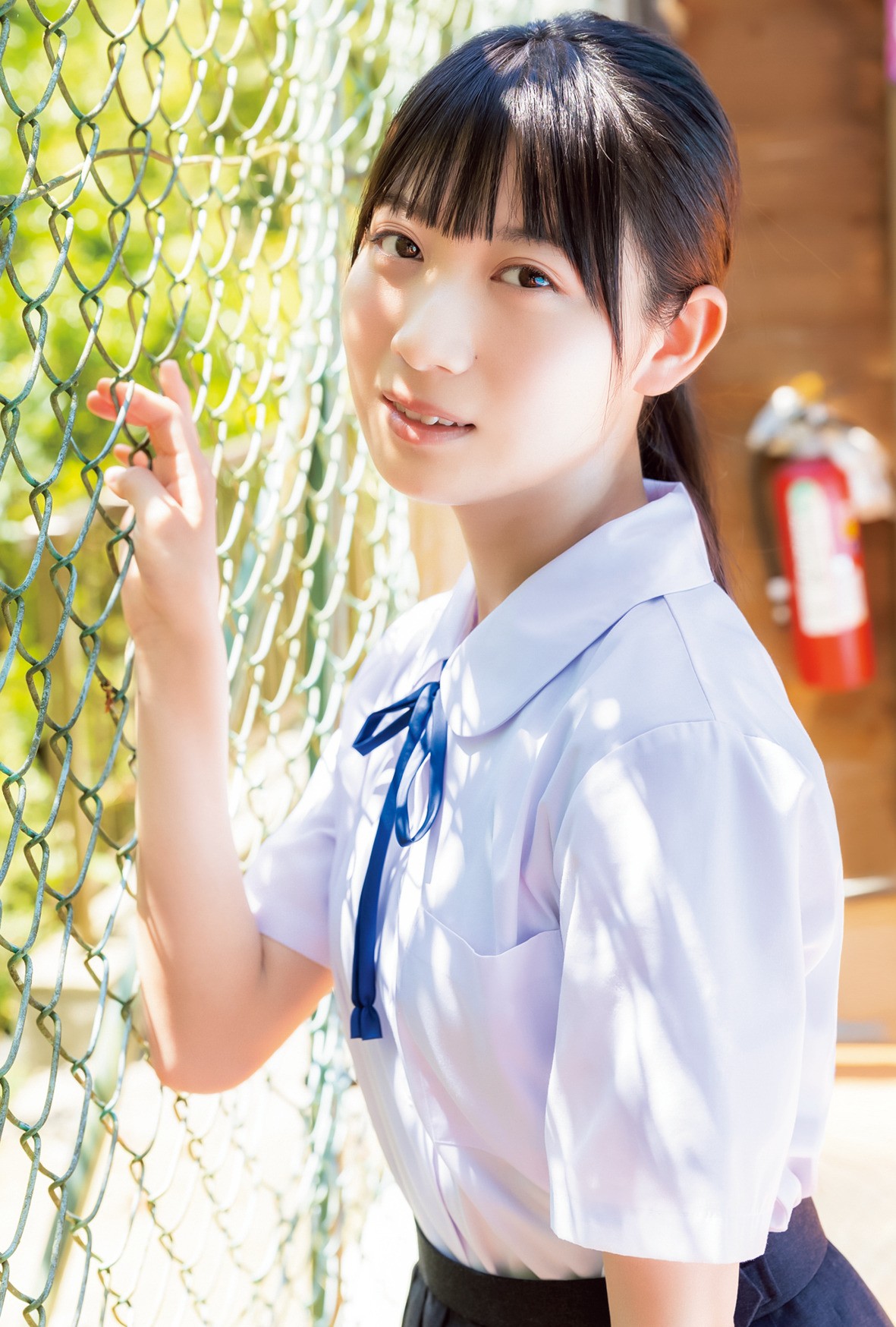 乃木坂46・日向坂46・櫻坂46など7グループから現役女子高生が