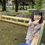 �E�b�h�f�U�C���p�[�N����ŃA���̂��ݎ��̌� 