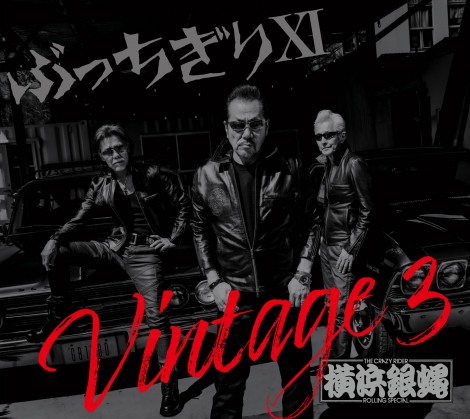 uԂXI Vintage 3v 