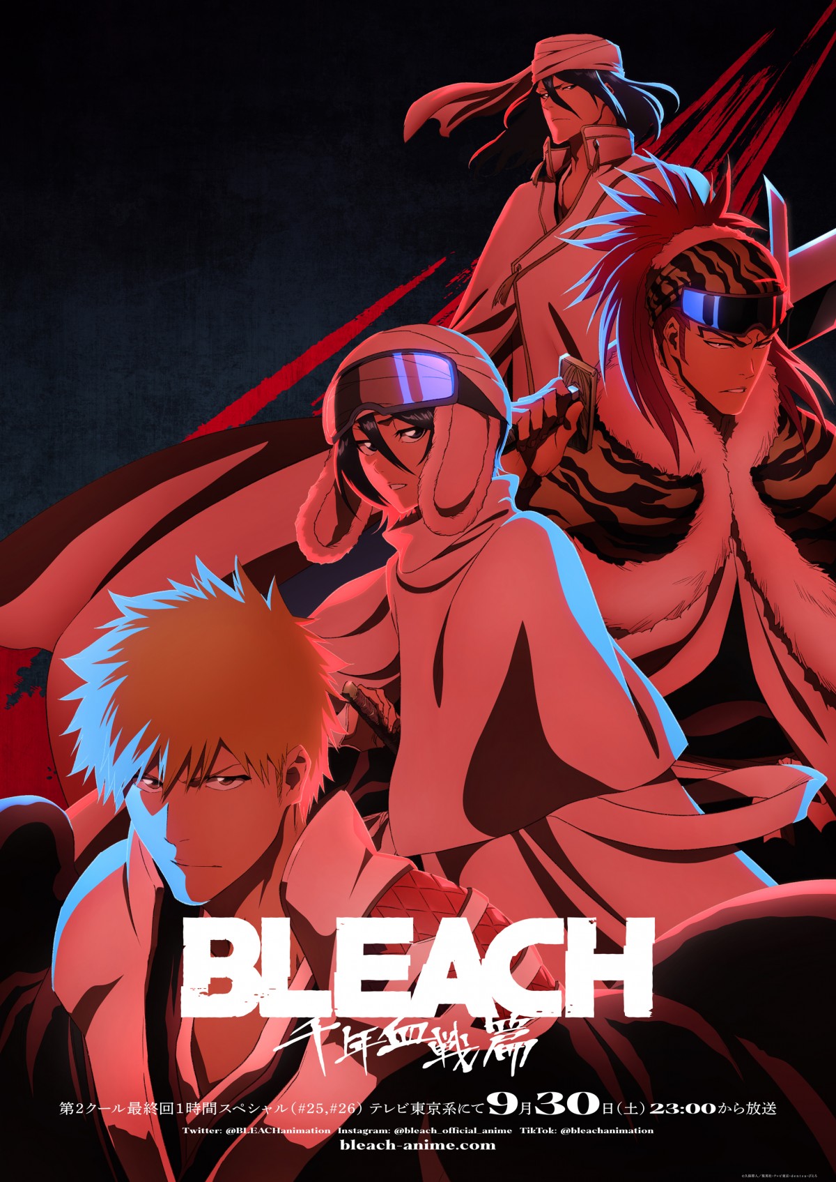 BLEACH』最終回は1時間SP 前半戦の総集篇も放送決定 新ビジュアル解禁 