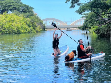 �w�L�g�̉ċx��2023 ����77����in Hawaii�x�ɏo������i������j�t�������A�L�g�O�s �iC�j�t�W�e���r 