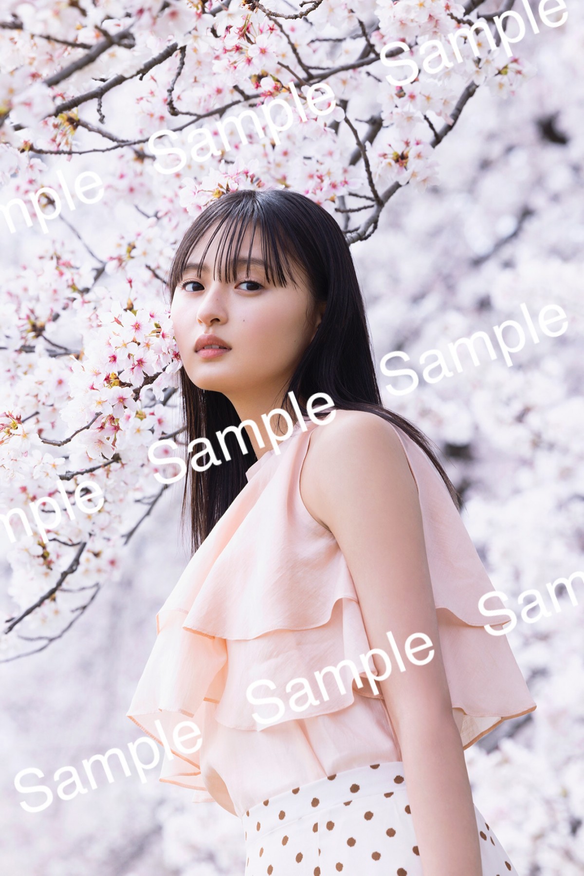 乃木坂46 近藤さくら チェキ サイン入り