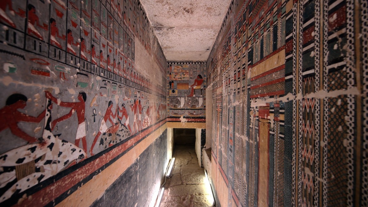 メンフィスとその墓地遺跡』 日本初撮影…4300年前の壁画「この感動を