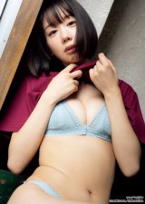 �g�V�S�탉�E���h�K�[���h�V�B�A�Ռ����g���I �w�A���_�[�j���W���x�R���{�O���r�A�Ŕ��w�����c 