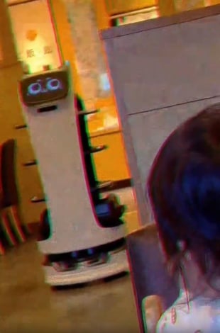 初めて見る猫型ロボットに怯える娘さん 