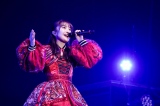 wMOMOIRO CLOVER Z 15th Anniversary TouruQUEEN OF STAGEvxŏI(C)эEcc 