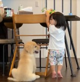 ���̂ق����傫�������̂Ɂc1�N�ŋ}���������S�[���f�����g���o�[�q���̑����u10�N���z�����Ċ��S�[���v 