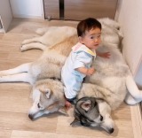 �n�X�L�[�Z���̃��t���t��S�g�Ŋ��\����Ԃ����A2�C�́h�����h�ɋ����u���Ȃ�D�����ڂ��Ă����v 