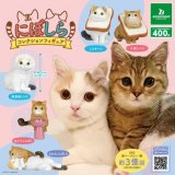 SNS�Ől�C�̃}���`�J���o���L�g�ɂڂ���h���J�v�Z���g�C�ɁA���H�W�Ƀp���^�J���[�����킢���� 