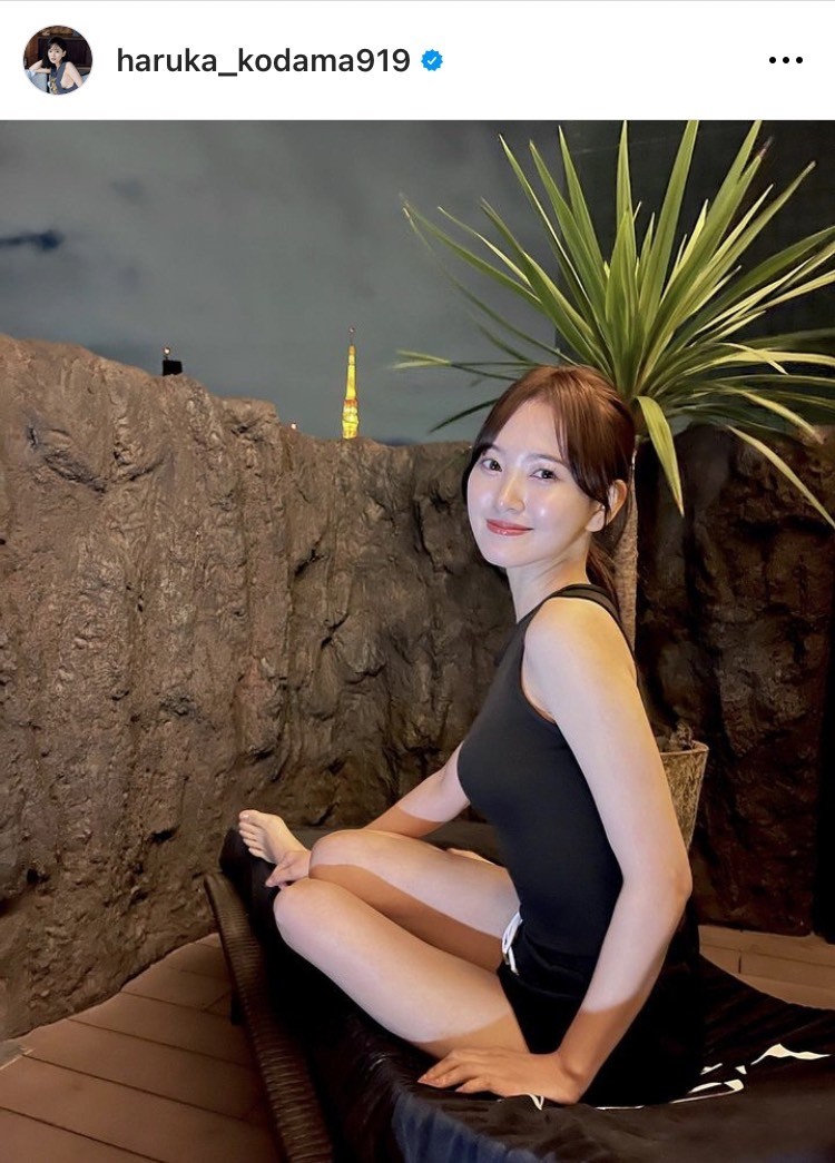 uvԂ̃TEivgTh񍐂Zʗy (ʐ^̓CX^O) 