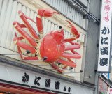 ��29�ォ�ɐ؂�`�����s�I���a�� ����31�N�ڂŁg�V�����h�u�v���̂ق������؂ꂽ�v 