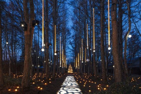 【軽井沢高原教会】星降る森のクリスマス 森の小径 