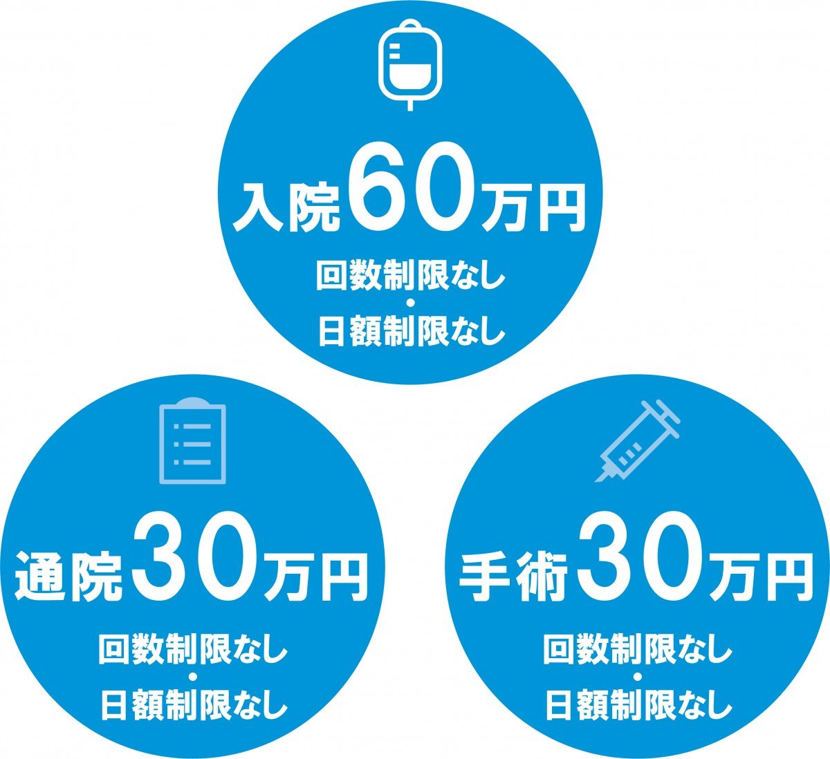 画像・写真 | Amazonが「ペット保険」開始、8歳11ヶ月までの犬・猫が対象 5枚目 | オリコンニュース（ORICON NEWS）