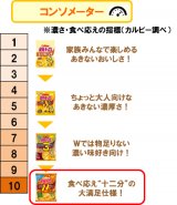 �u�R���\���[�^�[�v 