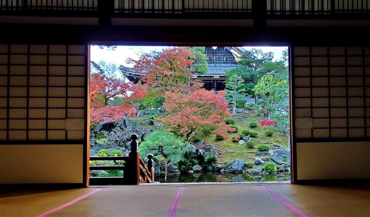 {莛 {a 