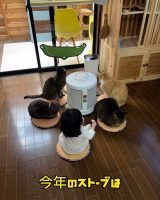 �X�g�[�u�ɏW�܂�0�Ύ�&�ی�L�����̒c����460���Đ��u�߂���������֎q���Q�[���v�u���z�̒g�܂���v 