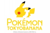 wsJ`E΂ȓރK}N(n[g)xv[gLy[(C)Pokemon. (C)Nintendo/Creatures Inc./GAME FREAK inc. 