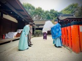 NHK̓h}wNցxOɏΐ_ЂQqgRqA{C(C)NHK 