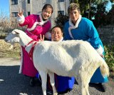 �ʖ؍G&�D���A�����Ń��M�Ƃ̂�т藷 �璹�E�������Q�u�D���͂�����Ȃ��`�v 