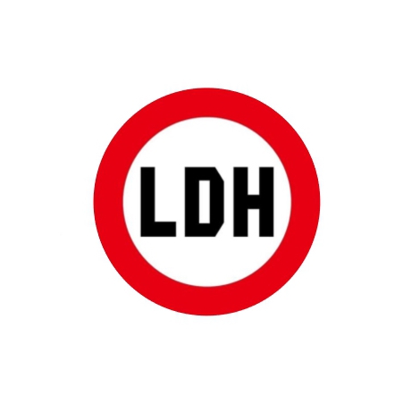 LDH JAPANuΐ쌧\onkЊQ`v5000~t 