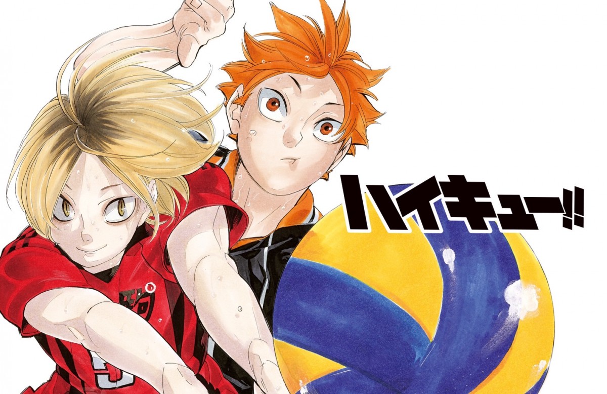 新品ケース交換済　ハイキュー!! 1期～4期+劇場版 全35巻 4988104140326_1_2.jpg?downsize