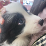 ������O�Ɂu���킢���v���������Ȃ��Ȃ錻�ہc�Ȃ���b����������?�u�����Ƃ���̂��������āA���t���܂Ƃ܂�Ȃ���ԁv 