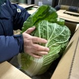 40�N��؂�ڗ������Ă����v��������A�u���؁v�̐V�N������������|�C���g�ƕۑ����@ 