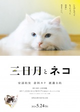『三日月とネコ』小林聡美が出演 