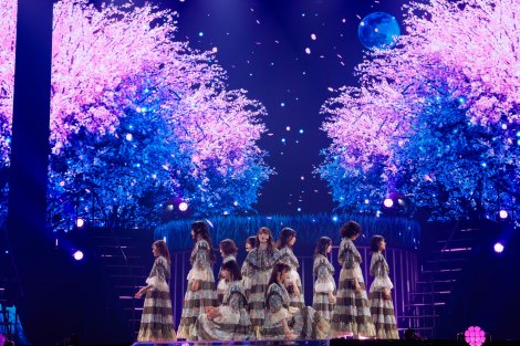 櫻坂46 小池美波　直筆サイン入りポスター　小林由依卒業コンサート 2025年最新】櫻坂 ポスター 直筆の人気アイテム - メルカリ
