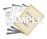 @mK_ SEED FREEDOM ҃v[g2e ݒq(C)nʁETCY 